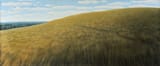 tomas_sanchez_-_colina_dorada__1986