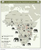 2013_Elephant_population_(30249979363)