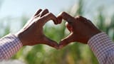 Heart_Hands