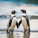 holding hands