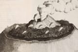 eruption of vesuvius engraving