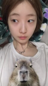 GwJEo6KXYAIkKmH