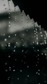 photo-1704883038327-e9cd4c164455