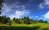 sunny-day-in-the-mountains-44584-2560x1600