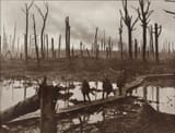Australian soldiers in a forest destroyed by war, Battle of Passchendaele - Belgium - October 29th 1917
