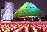 rose garden of lights