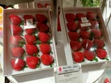 packaged strawberries