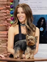 20161213_DespiertaAmerica_001