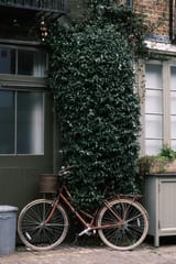 parked against ivy