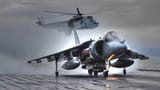 RoyalNavyHarrier