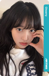 Choerry_311Z