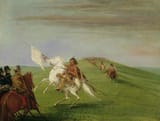 comanche