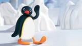 pingu