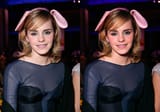 Emma-improved