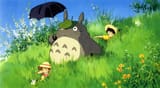 Totoro Mountainside Socute