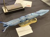 IMG-7381