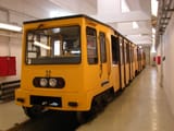 GANZ_mfav