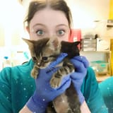 Michelle kittens2