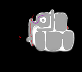 map4