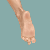 tegaki