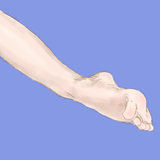 tegaki