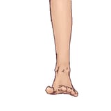 tegaki