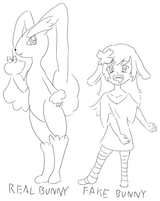 identifying bunnies