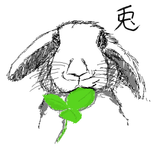 rabbit