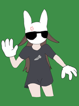 kikichamp