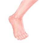tegaki