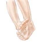 tegaki