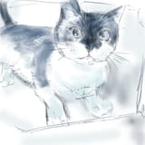 tegaki