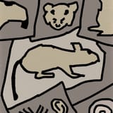 rat