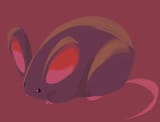 rat