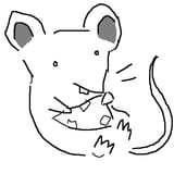 tegaki