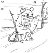 rat