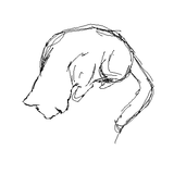 tegaki