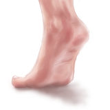 tegaki