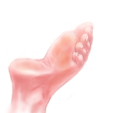 tegaki