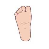 tegaki