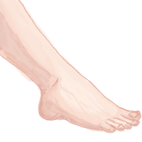 tegaki