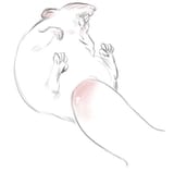 rat dicked