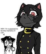 nigga cat