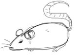 Mos