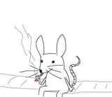 mouse
