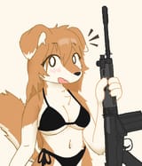 fn fal dog