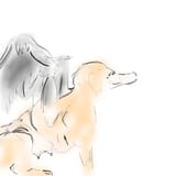 tegaki