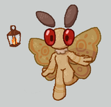 moth