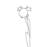 tegaki