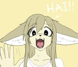 happy fennec